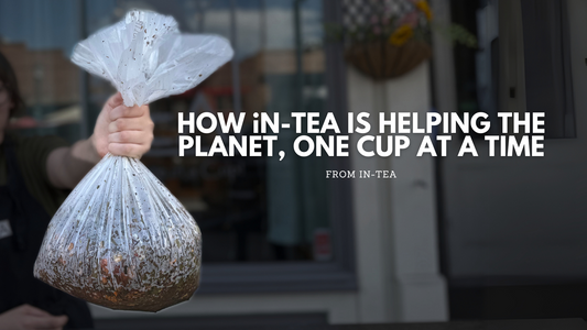 How iN-TEA is Helping the Planet, One Cup at a Time
