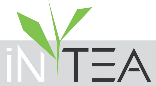 iN-TEA logo