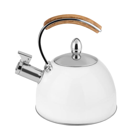 Stainless Steel Kettle
