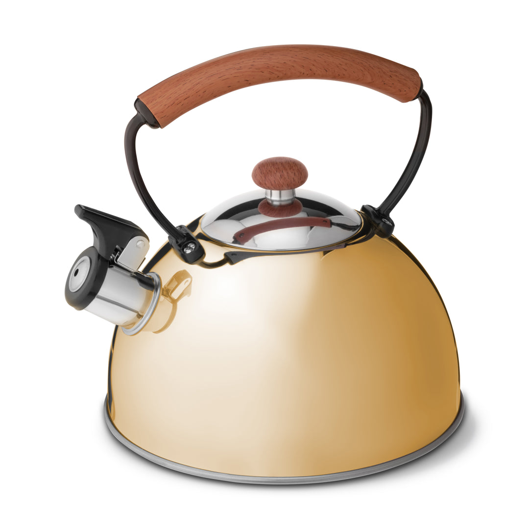 Stainless Steel Kettle