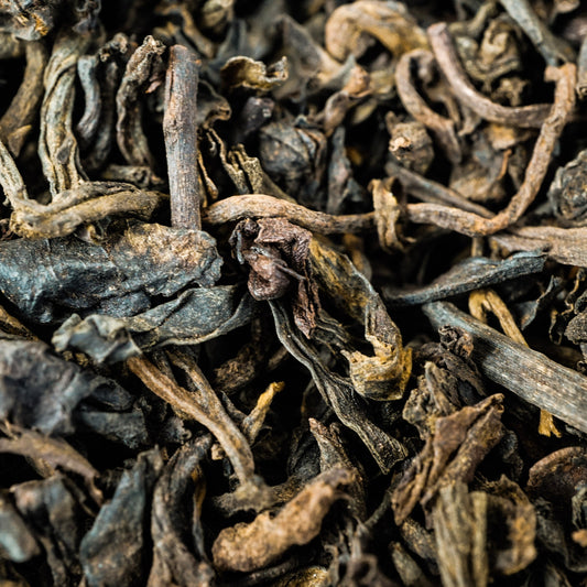 Forest Light Pu'erh - Premium Tea